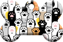 Gatos_40